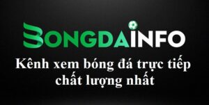 Read more about the article Bong Da INFO – Kênh xem bóng đá trực tiếp chất lượng nhất