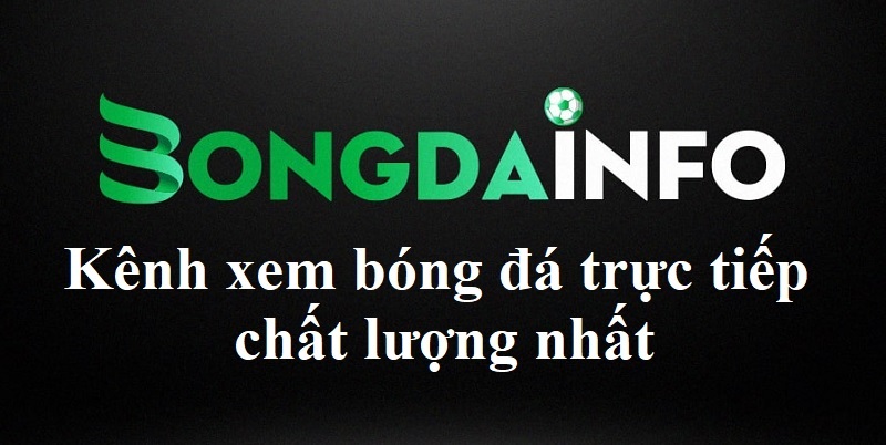 You are currently viewing Bong Da INFO – Kênh xem bóng đá trực tiếp chất lượng nhất