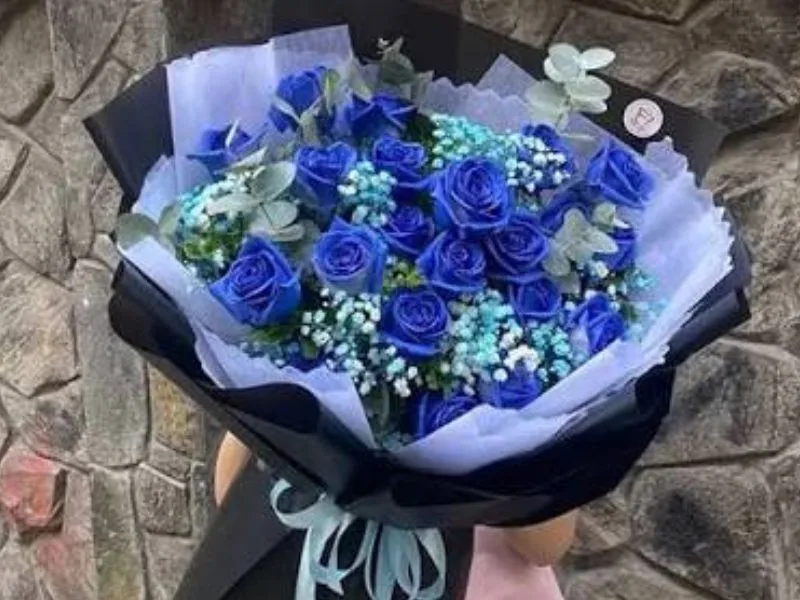 hoa hong xanh co y nghia gi bieu tuong cua tinh yeu va hy vong